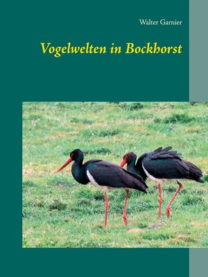 cover image of Vogelwelten in Bockhorst